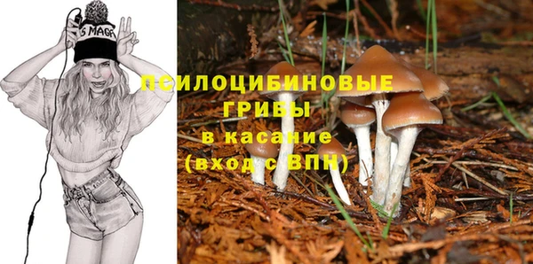 прущая мука Белоозёрский