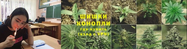 прущие крисы Белокуриха