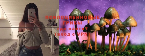 прущие крисы Белокуриха