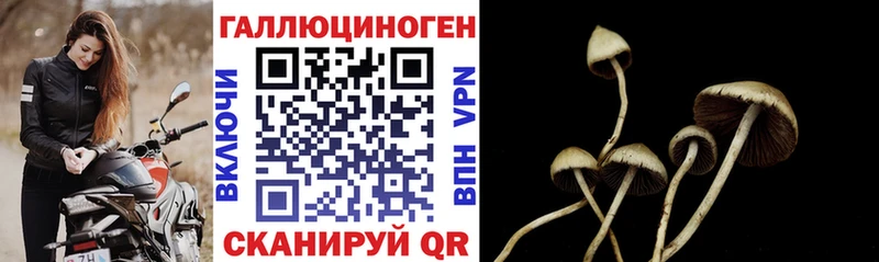 Купить  Агрыз  Псилоцибиновые грибы прущие грибы 